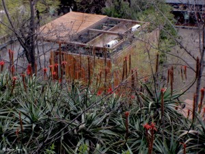 “Sushi House.” The sleek design of the new facility has already earned it a nickname among zoo employees.