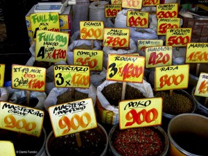 We prowled the wonderful market in Santiago in search of bean beetles to start some of the food cultures for the frogs.