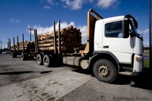 Logging trucks are all too common a sight in South Chile.