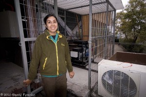 One of the safety features we decided to add to the laboratory was a self starting generator. This addition prevents the facility from overheating should the power go out on a hot Santiago afternoon. We would like to thank the Shared Earth Foundation for supporting this critically important addition to our captive breeding facility!