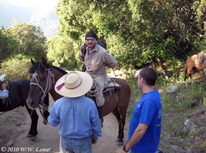 Andy is wondering just how well Dante will do on this horse...