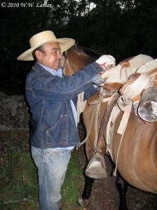 Often times, we use horses to trek into a remote forest patch. We camp in these remote sites for several days while we survey the amphibians there.