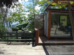 The Darwin's Frog sculpture, just to the left of the lab.