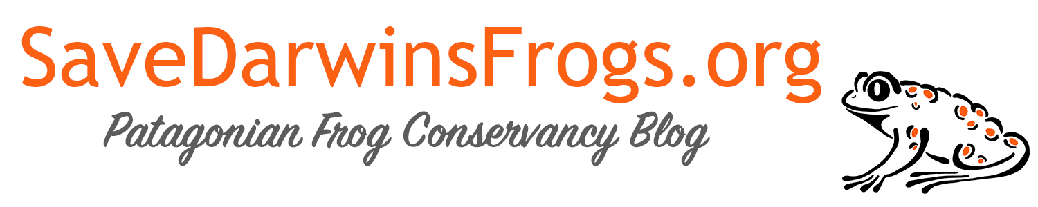 Patagonian Frog Conservancy