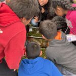 Bringing school children to our labs to learn about Chile’s unique amphibians / Llevar a los escolares a nuestros laboratorios para que aprendan sobre los anfibios unicos de Chile